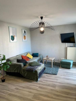 Superbe appartement en centre-ville balcon parking